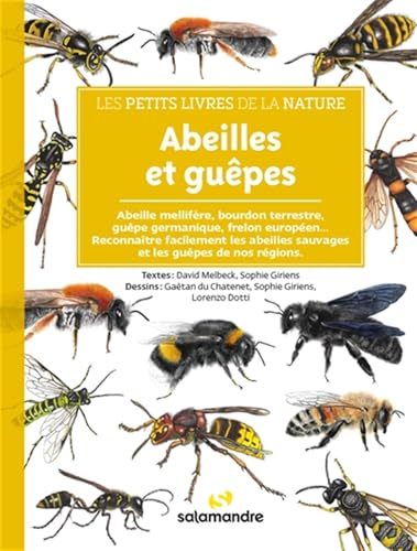 Abeilles et guêpes von LA SALAMANDRE