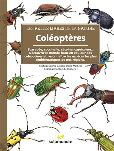 Les petits livres de la nature - Coléoptères von LA SALAMANDRE