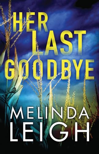 Her Last Goodbye (Morgan Dane, Band 2)