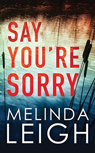 Say You're Sorry (Morgan Dane, Band 1)