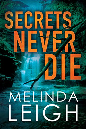 Secrets Never Die (Morgan Dane, Band 5)