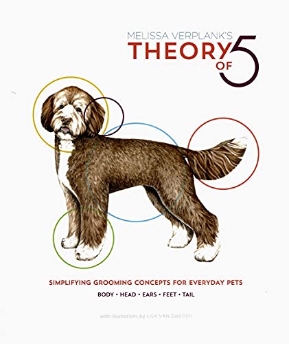 Theory Of 5