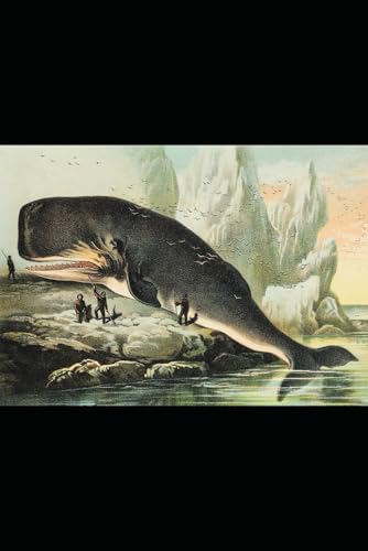 Moby Dick: or The Whale Moby Dick: or The Whale von Independently published