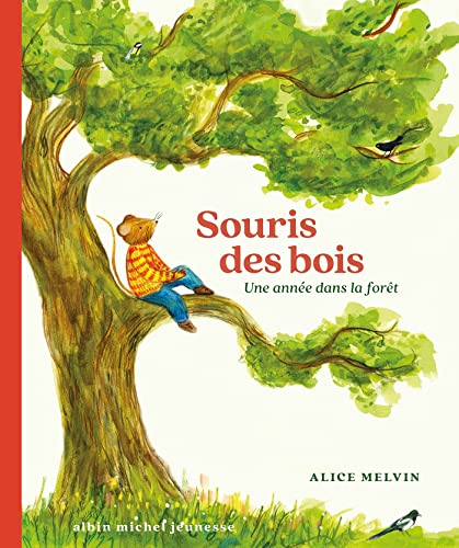 Souris des bois - Une année dans la forêt von ALBIN MICHEL