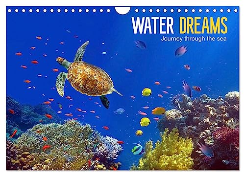 Water Dreams-journey through the sea (Wall Calendar 2025 DIN A4 landscape), CALVENDO 12 Month Wall Calendar: Water Dreams. Dive into the wonderful underwater world