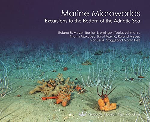 Marine Microworlds: Excursions to the Bottom of the Adriatic Sea von Pfeil, Dr. Friedrich