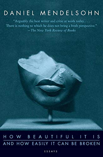 How Beautiful It Is And How Easily It Can Be Broken: Essays How Beautiful It Is And How Easily It Can Be Broken: Essays