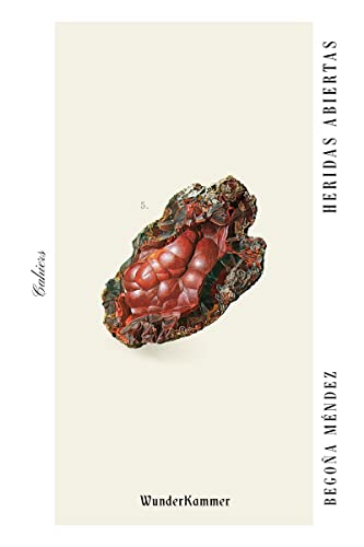 Heridas abiertas (Cahiers, Band 5) von Wunderkammer