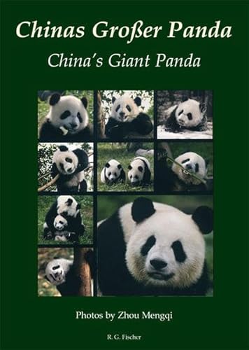 Chinas Großer Panda. China's Giant Panda Chinas Großer Panda. China's Giant Panda