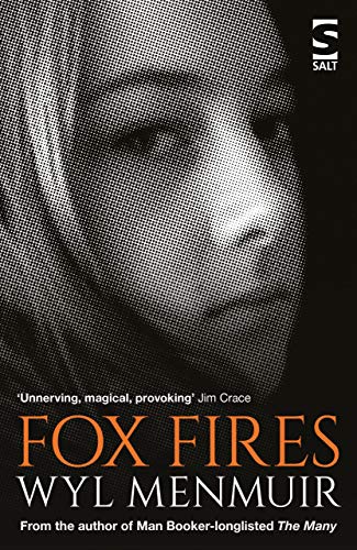 Fox Fires (Salt Modern Fiction)