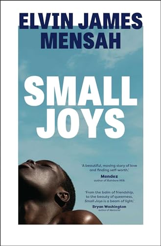 Small Joys: A Buzzfeed 'Amazing New Book You Need to Read ASAP' von SCRIBNER UK