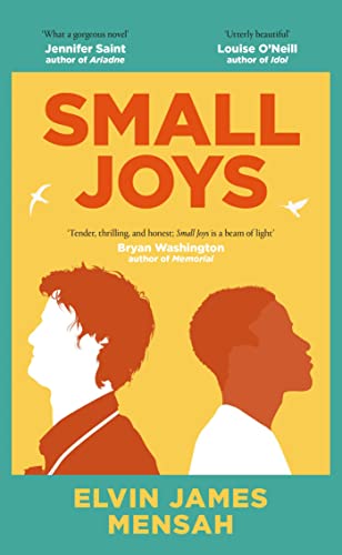 Small Joys: A Buzzfeed 'Amazing New Book You Need to Read ASAP' von Simon & Schuster Ltd