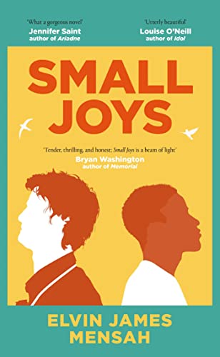 Small Joys: A Buzzfeed 'Amazing New Book You Need to Read ASAP' von SCRIBNER UK