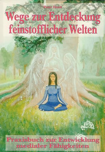 Wege zur Entdeckung feinstofflicher Welten: Praxisbuch zur Entwicklung medialer Fähigkeiten