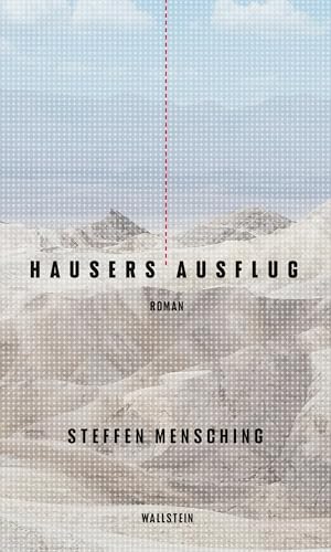 Hausers Ausflug: Roman von Wallstein