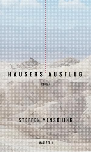 Hausers Ausflug: Roman