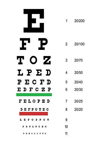 Snellen Eye Chart Planner: Daily Planner for Optometrists, Ophthalmologists, or Opticians von Independently published