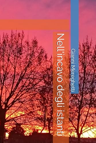 Nell'incavo degli istanti Nell'incavo degli istanti von Independently published