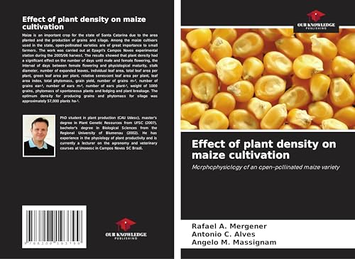 Effect of plant density on maize cultivation: Morphophysiology of an open-pollinated maize variety