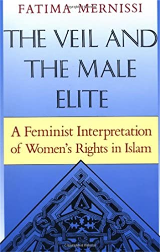 The Veil And The Male Elite: A Feminist Interpretation Of Women's Rights In Islam von Basic Books