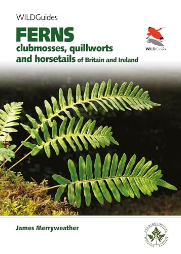 Britain's Ferns: A Field Guide to the Clubmosses, Quillworts, Horsetails and Ferns of Great Britain and Ireland (Wildguides) von Princeton University Press