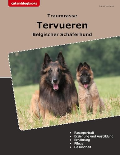Traumrasse Tervueren: Belgischer Schäferhund