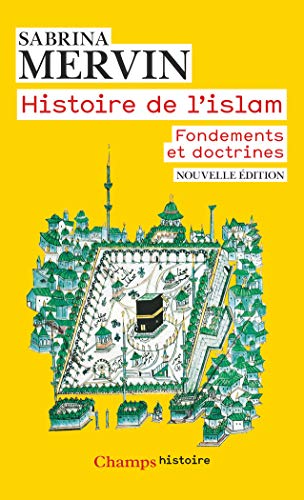 Histire de l'islam, fondements et doctrines (Champs histoire) von FLAMMARION