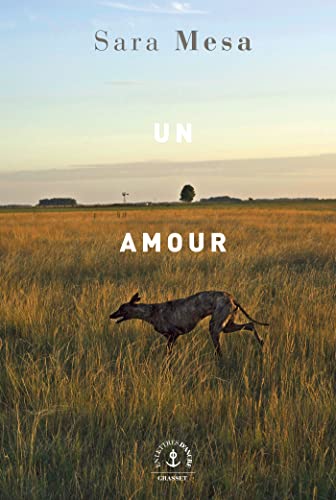 Un amour: roman
