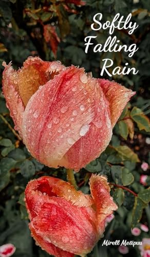Softly Falling Rain von Swan Charm Publishing