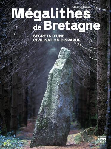 Mégalithes de Bretagne: Secrets d'une civilisation disparue von BLANC ET NOIR