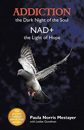Addiction: the Dark Night of the Soul/ Nad+: the Light of Hope von Balboa Press