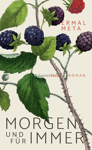 Morgen und für immer: Roman von Hanser
