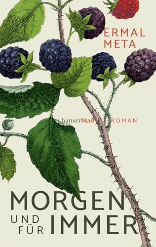 Morgen und für immer: Roman von Hanser