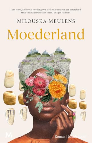 Moederland: roman