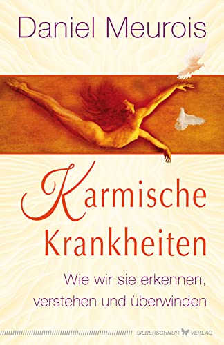 Karmische Krankheiten: Wie wir sie erkennen, verstehen und überwinden von Silberschnur