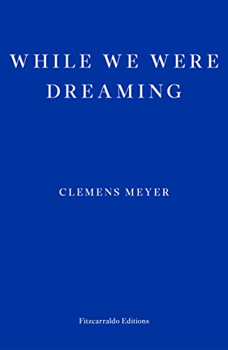 While We Were Dreaming: Clemens Meyer