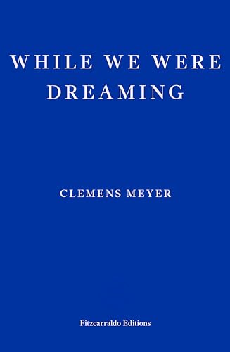 While We Were Dreaming: Clemens Meyer