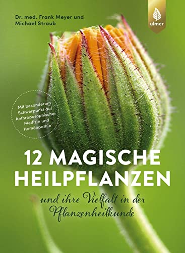 12 magische Heilpflanzen: und ihre Vielfalt in der Pflanzenheilkunde. Mit besonderem Schwerpunkt auf Anthroposophischer Medizin und Homöopathie