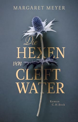 Die Hexen von Cleftwater: Roman