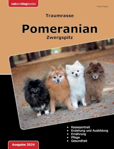 Traumrasse Pomeranian: Zwergspitz