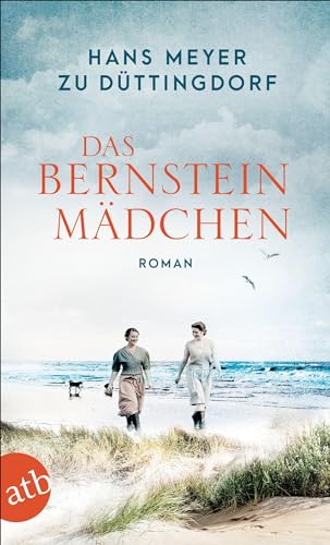 Das Bernsteinmädchen: Roman