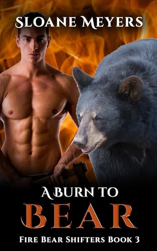A Burn to Bear (Fire Bear Shifters, Band 3) von Birch Bear Press