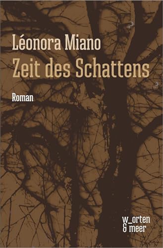 Zeit des Schattens: Roman