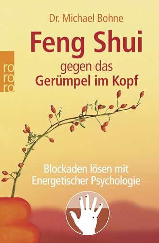 Feng Shui gegen das Gerümpel im Kopf: Blockaden lösen mit Energetischer Psychologie Feng Shui gegen das Gerümpel im Kopf: Blockaden lösen mit Energetischer Psychologie