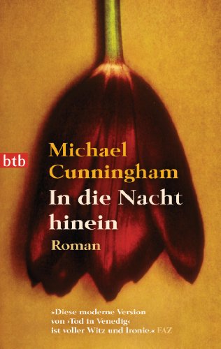 In die Nacht hinein: Roman