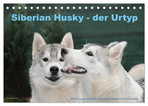 Siberian Husky - der Urtyp (Tischkalender 2024 DIN A5 quer), CALVENDO Monatskalender von CALVENDO