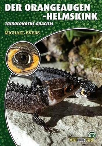 Der Orangeaugen-Helmskink: Tribolonotus gracilis