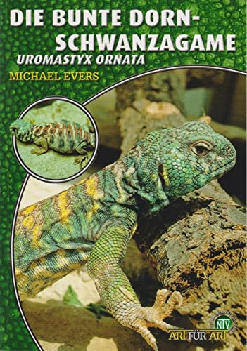 Die Bunte Dornschwanzagame: Uromastyx ornata (Buchreihe Art für Art Terraristik)