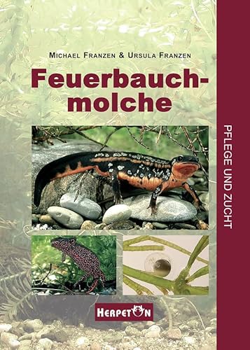 Feuerbauchmolche. Pflege und Zucht von Herpeton Verlag