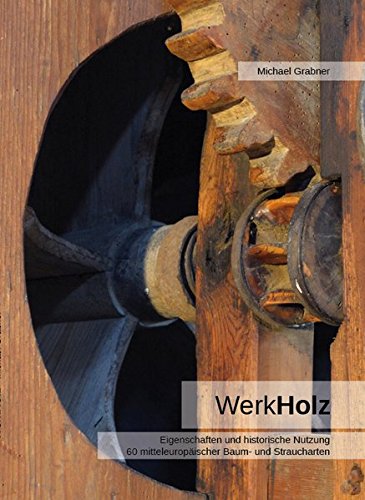 Werkholz: Eigenschaften und historische Nutzung 60 mitteleuropäischer Baum- und Straucharten von Kessel, Norbert